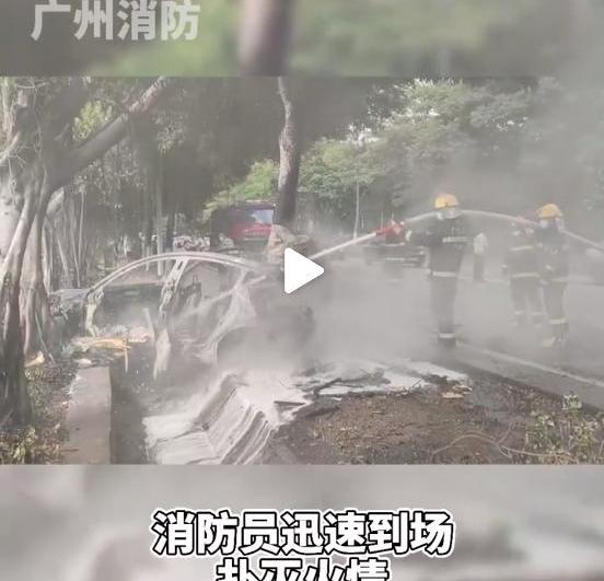 特斯拉,Model 3,发现,速派,Model S