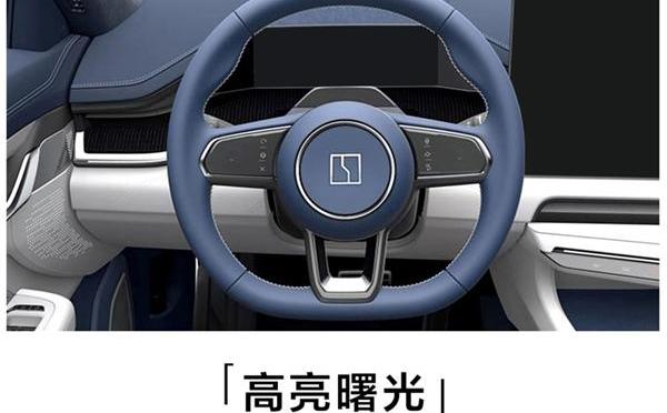 极氪