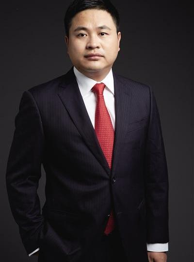 特斯拉,北京,远程