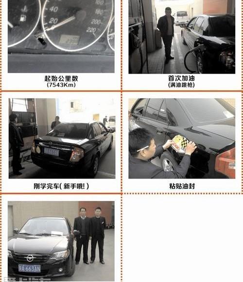 海马,理念