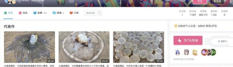 发现