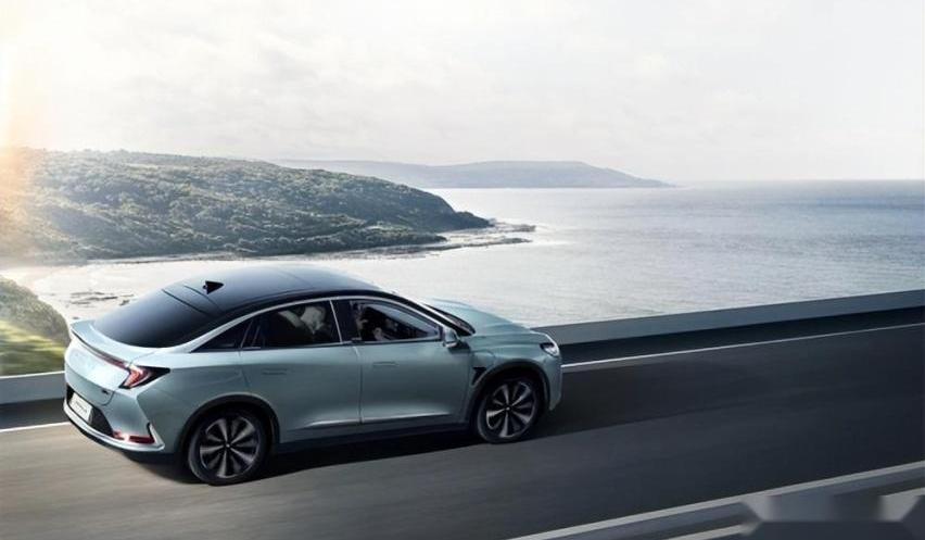 比亚迪,岚图汽车,理念,小鹏,威马汽车