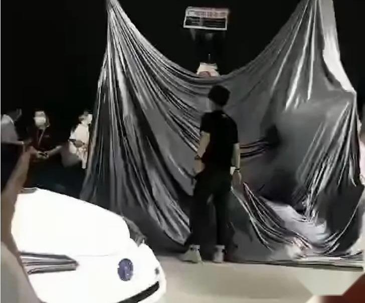 特斯拉,比亚迪,丰田,Model 3,零跑汽车