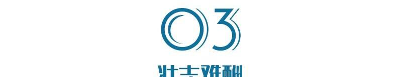 特斯拉,桑塔纳,大众,高合HiPhi,合创