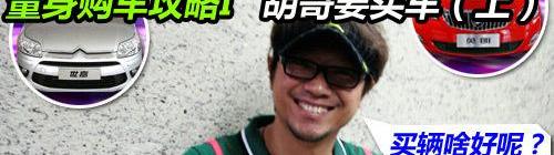 长安,奇瑞,长城,MINI,比亚迪