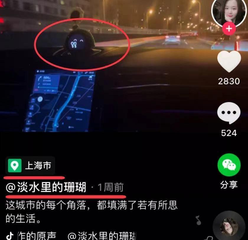 蔚来,北京,Model X,特斯拉