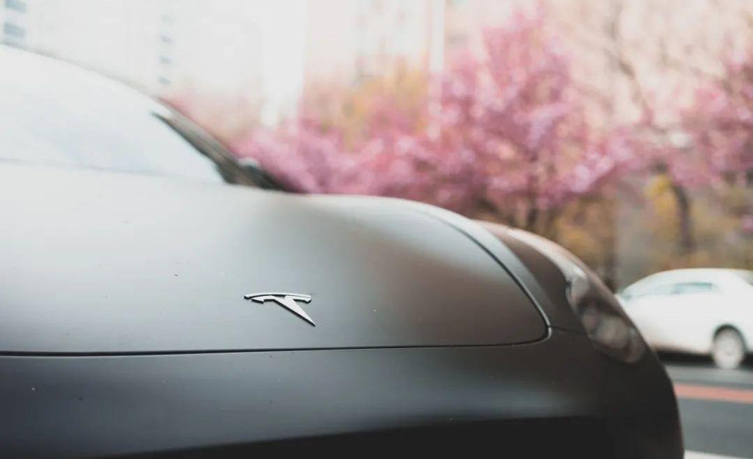 特斯拉,斑马,理念,Model 3
