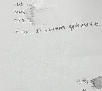 特斯拉,北京,发现