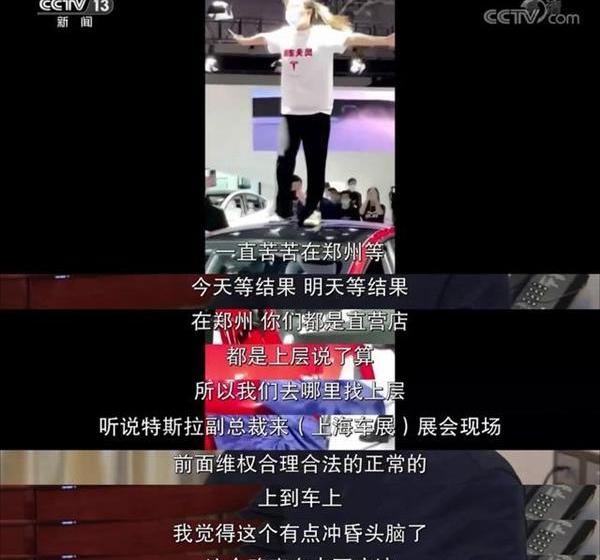 特斯拉,斑马