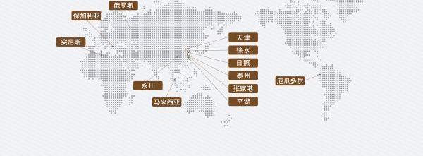 长城,哈弗,坦克,坦克300,哈弗H6