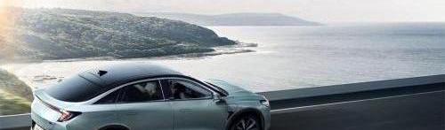 比亚迪,岚图汽车,理念,小鹏,威马汽车