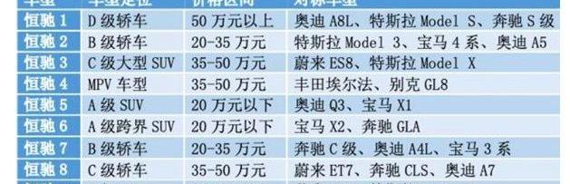 蔚来,MINI,长城,小鹏,特斯拉