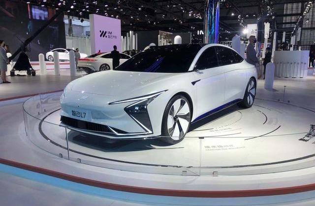 宝马,极氪,特斯拉,奥迪,奔驰