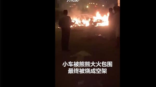 特斯拉