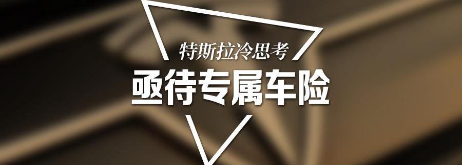 特斯拉,北京,Model X