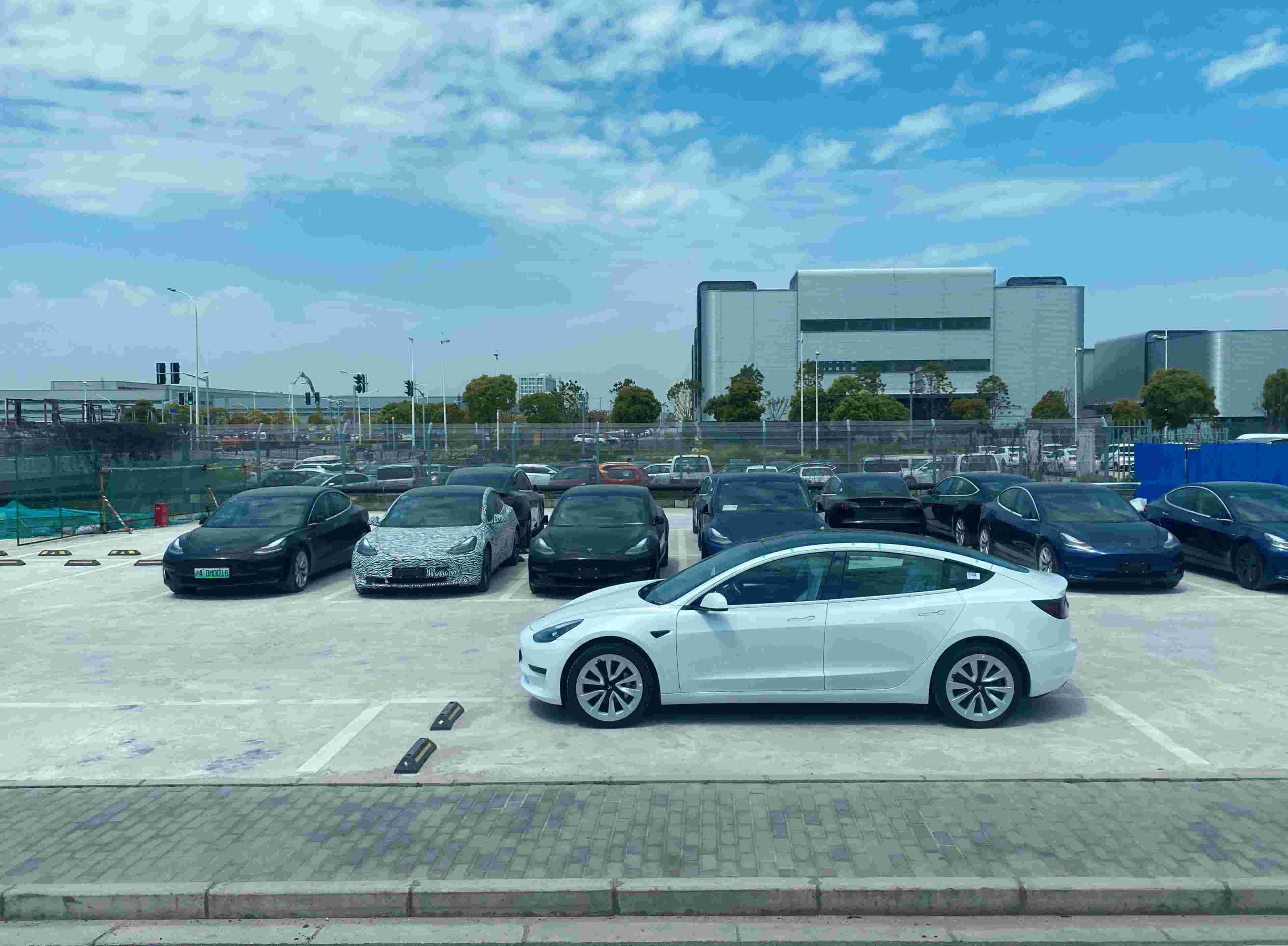 特斯拉,发现,Model 3,北京,Model Y