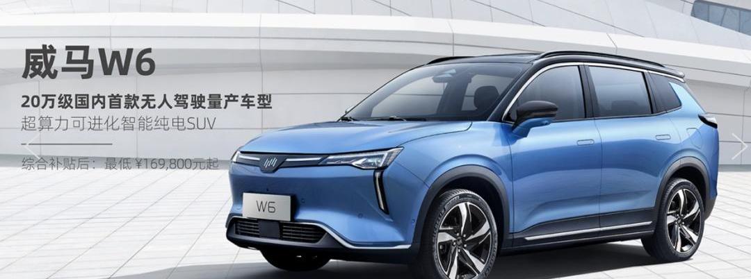 蔚来,威马汽车,小鹏,威马W6,斑马