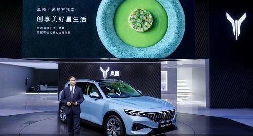 恒驰,极氪,岚图汽车,合创,DS