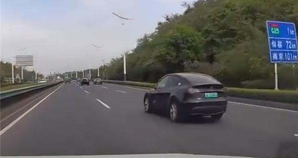 特斯拉,Model Y