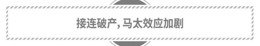 众泰,特斯拉,蔚来,小鹏