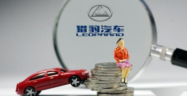 众泰,特斯拉,蔚来,小鹏