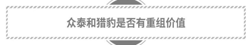 众泰,特斯拉,蔚来,小鹏