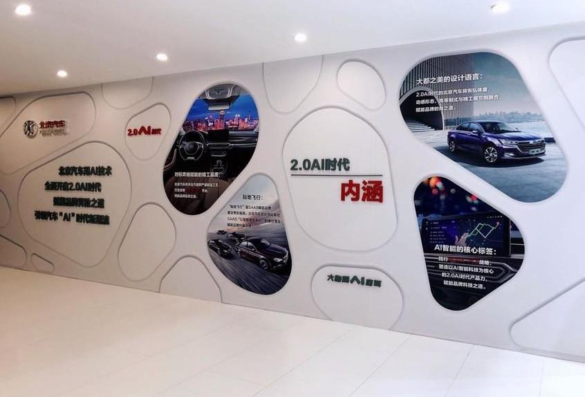 北京,北京汽车,世纪,海豚,理念