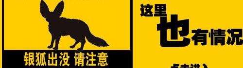 君威,别克,东风,奥迪,本田