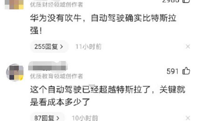 特斯拉,长安,DS,发现