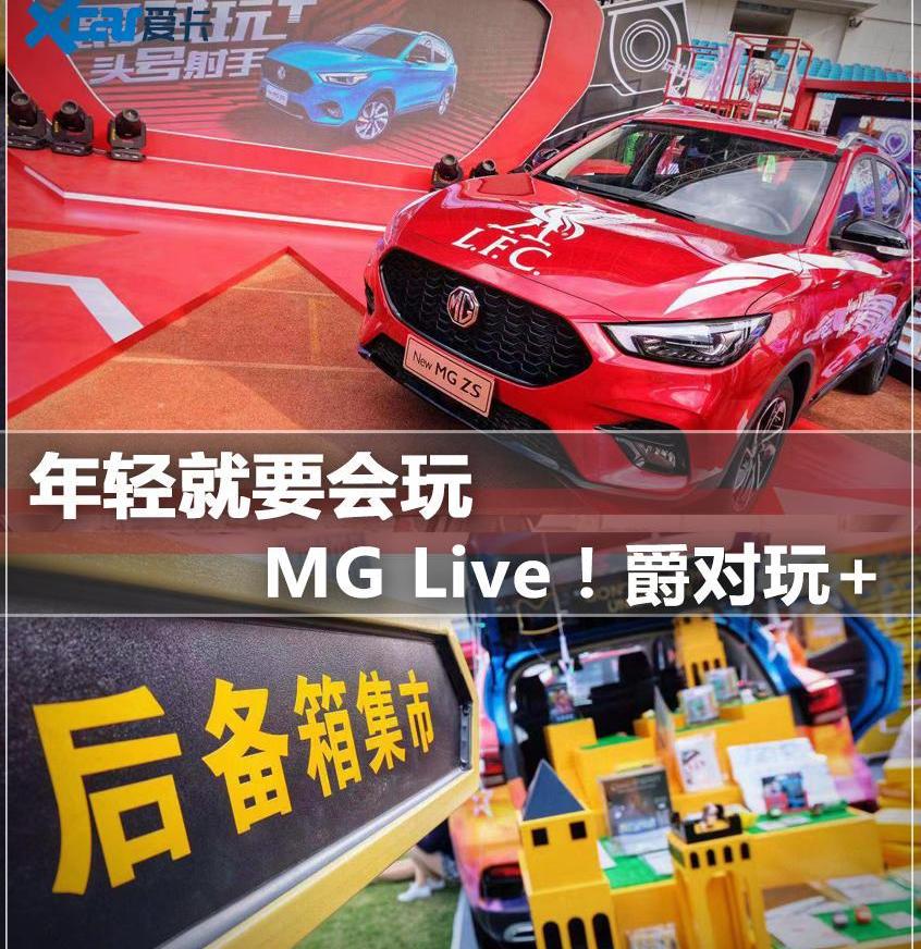 名爵,名爵ZS,斑马,一汽