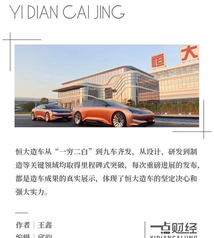 恒驰,宝马,丰田,福特,特斯拉