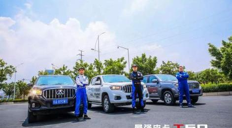 现代,斑马,发现,远程