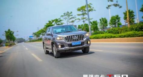 现代,斑马,发现,远程