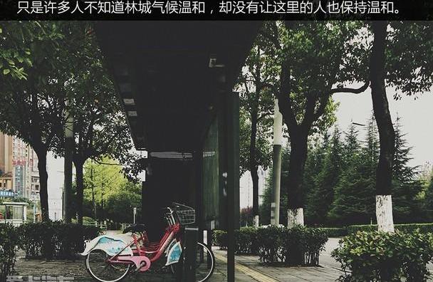 缤瑞,吉利汽车,发现,博越,沃尔沃