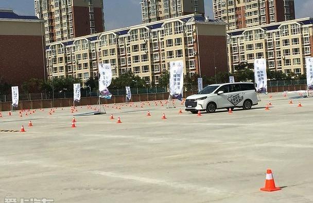 斑马