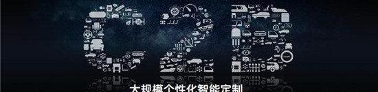 理念,斑马