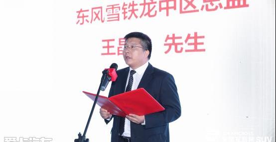 雪铁龙,东风,斑马