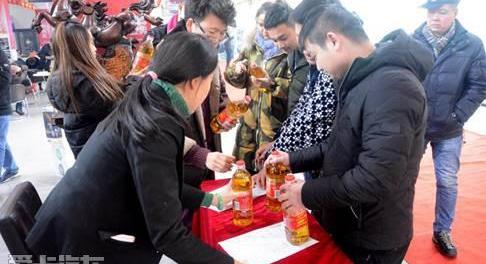 传祺GA4,广汽传祺,远程,理念,大发