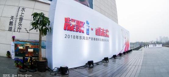 日产,东风,劲客,蓝鸟