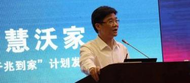 鲸