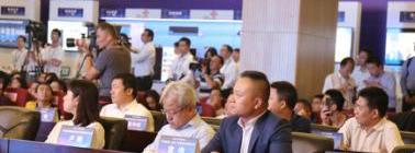 鲸