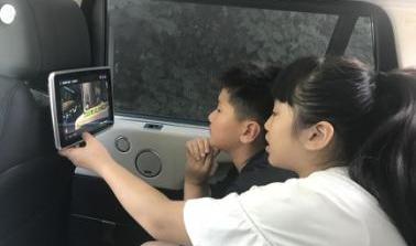 鲸