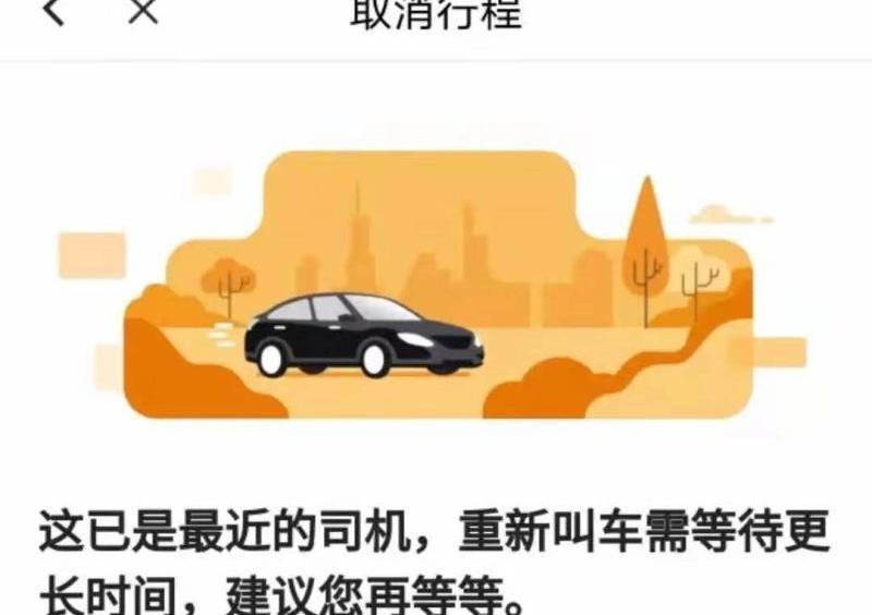 北京,发现,鲸