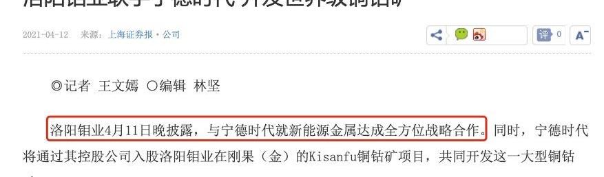 比亚迪,发现,特斯拉,蔚来,小鹏