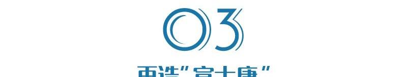 比亚迪,特斯拉,奔驰,宝马,大众