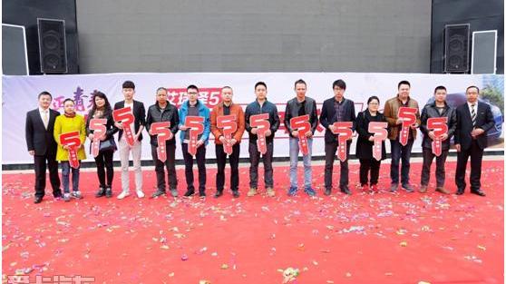 艾瑞泽5,奇瑞,DS,福克斯