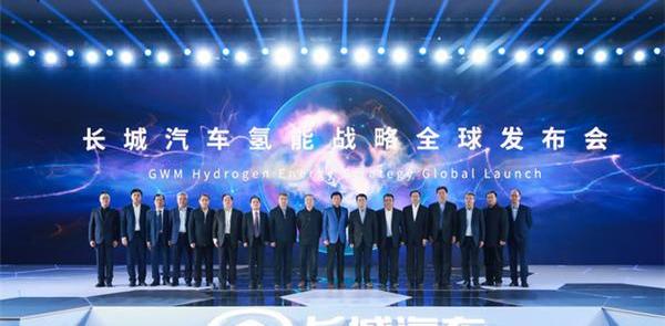 长城,特斯拉,欧拉,宝马,比亚迪