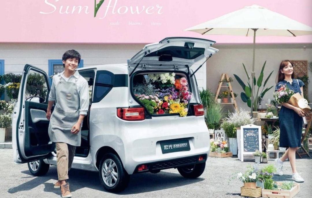 MINI,宏光MINIEV,宝骏,特斯拉,奔奔E-Star