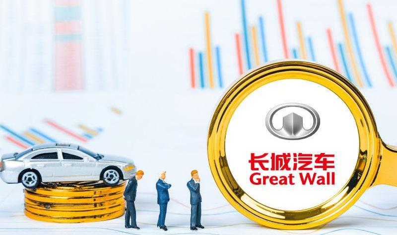 长城,欧拉,特斯拉,宝马,发现