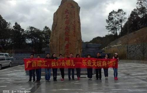 东风,大众,日产,雪铁龙